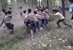 网友爆料中学生视频下载,中学生下载视频引发热议，揭秘背后真相