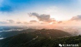 常平新闻爆料热线最新,聚焦民生热点，传递社会声音