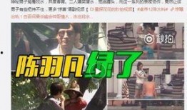 伞兵最新爆料视频大全集,揭秘战场瞬间与英勇瞬间