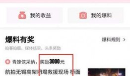 怎么发头条的爆料视频呢,如何制作并发布热门头条爆料视频
