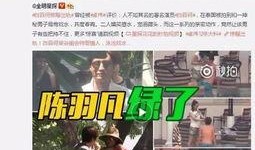 汪先生最新爆料深圳视频,深圳视频揭秘惊人内幕