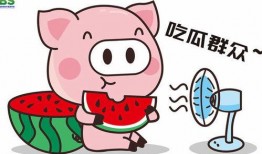 娱乐吃瓜酱的素材,吃瓜酱带你探秘明星幕后故事